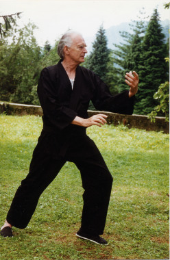 Posture de Tai Chi : brosser le genou
